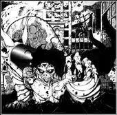 The Insanity Has Only Begun